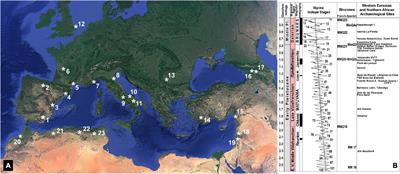 Insights on the Early Pleistocene <mark class="highlighted">Hominin</mark> Population of the Guadix-Baza Depression (SE Spain) and a Review on the Ecology of the First Peopling of Europe